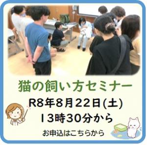 猫の飼い方教室