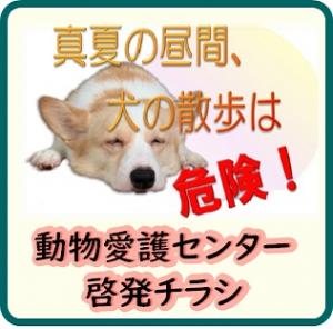 啓発チラシ