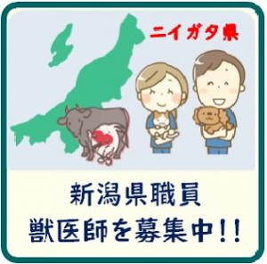 獣医師募集中