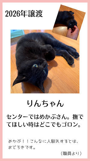 りん