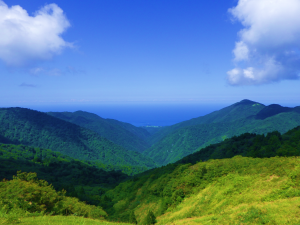 佐渡県有林遠景