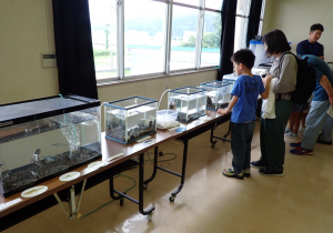 水槽展示