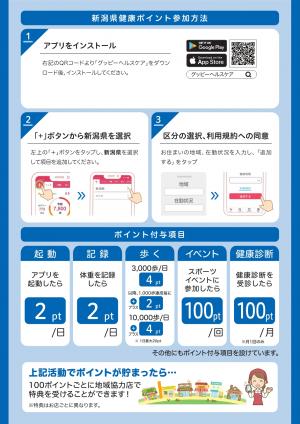 チラシ裏面