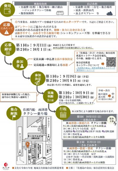 チラシ裏面