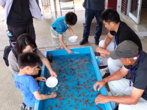 金魚すくいいい