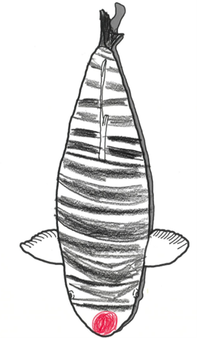 場長２