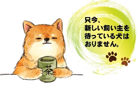 いません