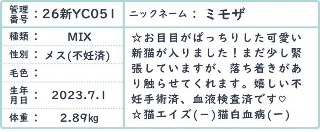 みもざ