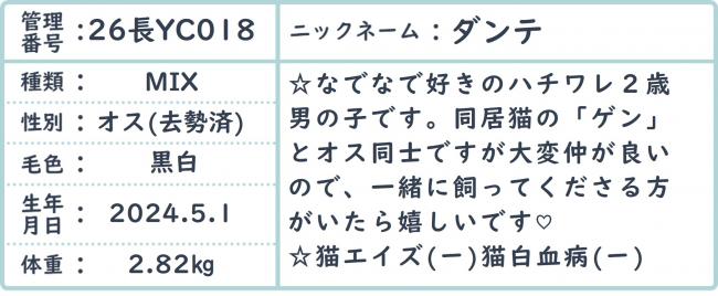 だんんて