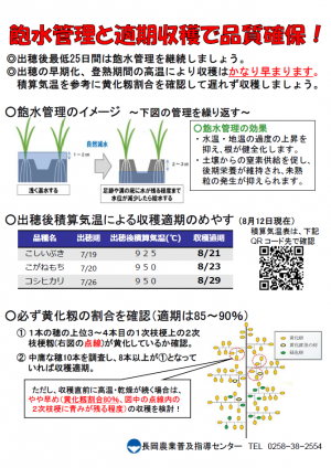 【水稲ポスター】