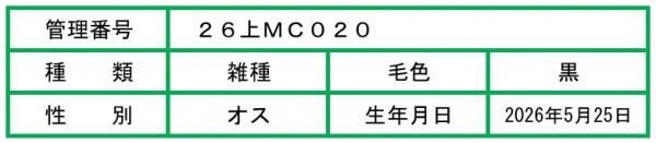 HP用ポップ（26上MC020）