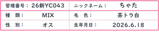 ちゃた