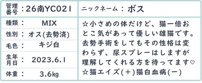 ボス