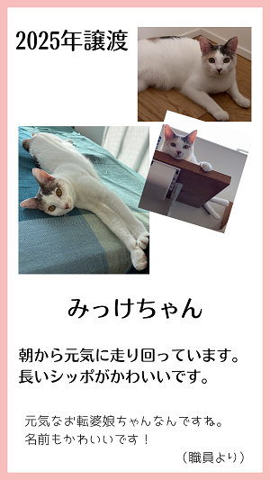 みっけ