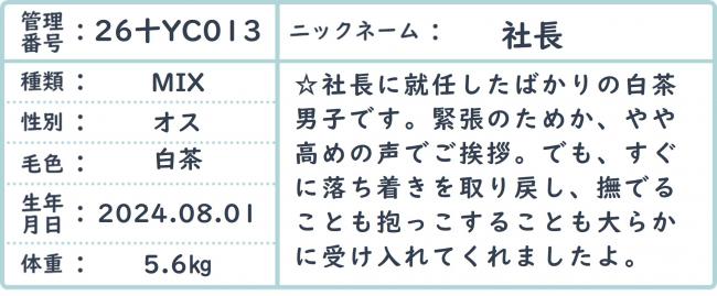 社長