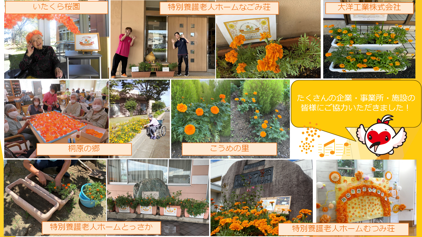 ガーデニング画像