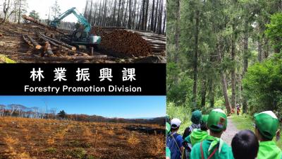 林業振興課