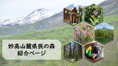県民の森の紹介