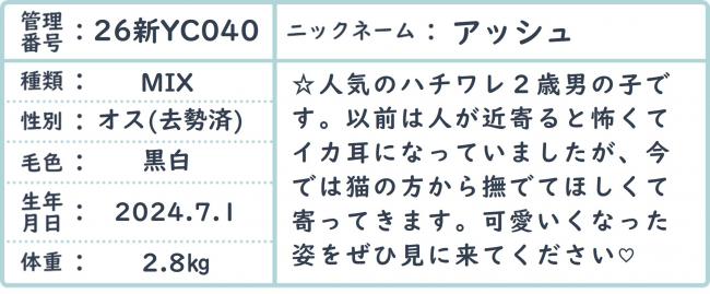 あっしゅ