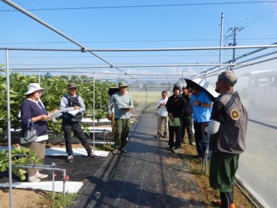 自力で整備したいちじく農園で概要説明