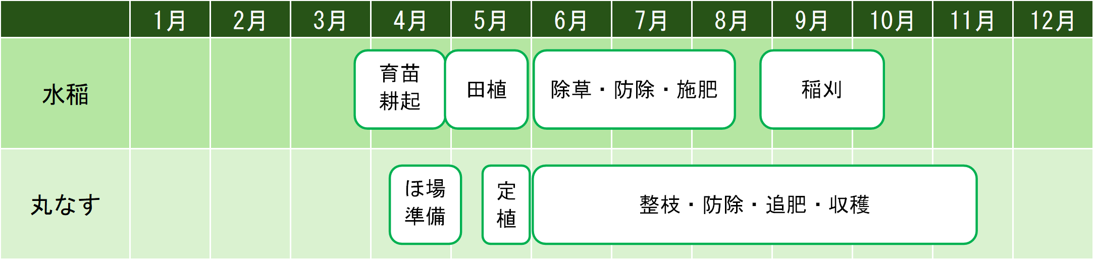 水稲＋丸なすスケジュール