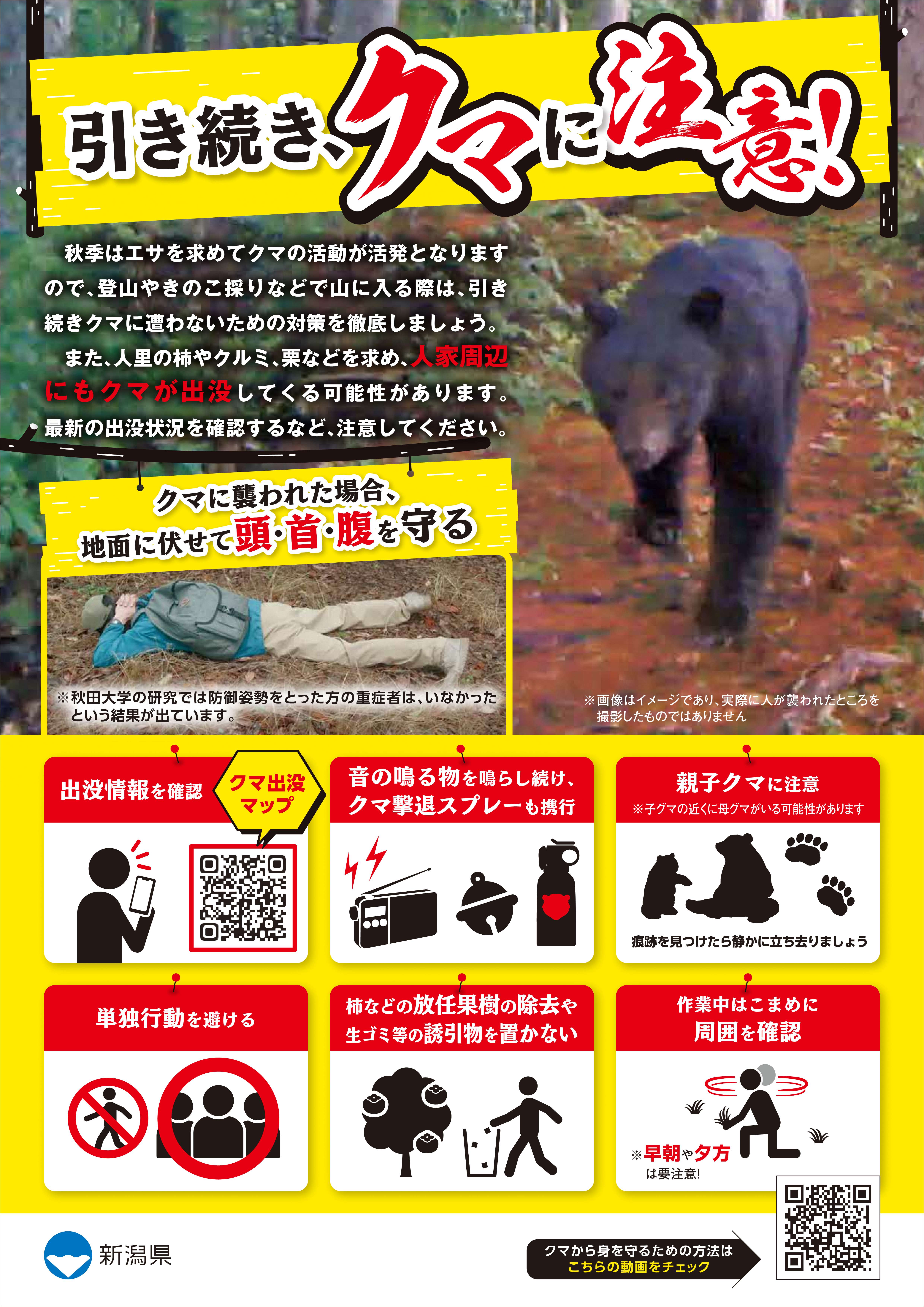 秋季のクマに対する注意喚起チラシ(A4カラー)