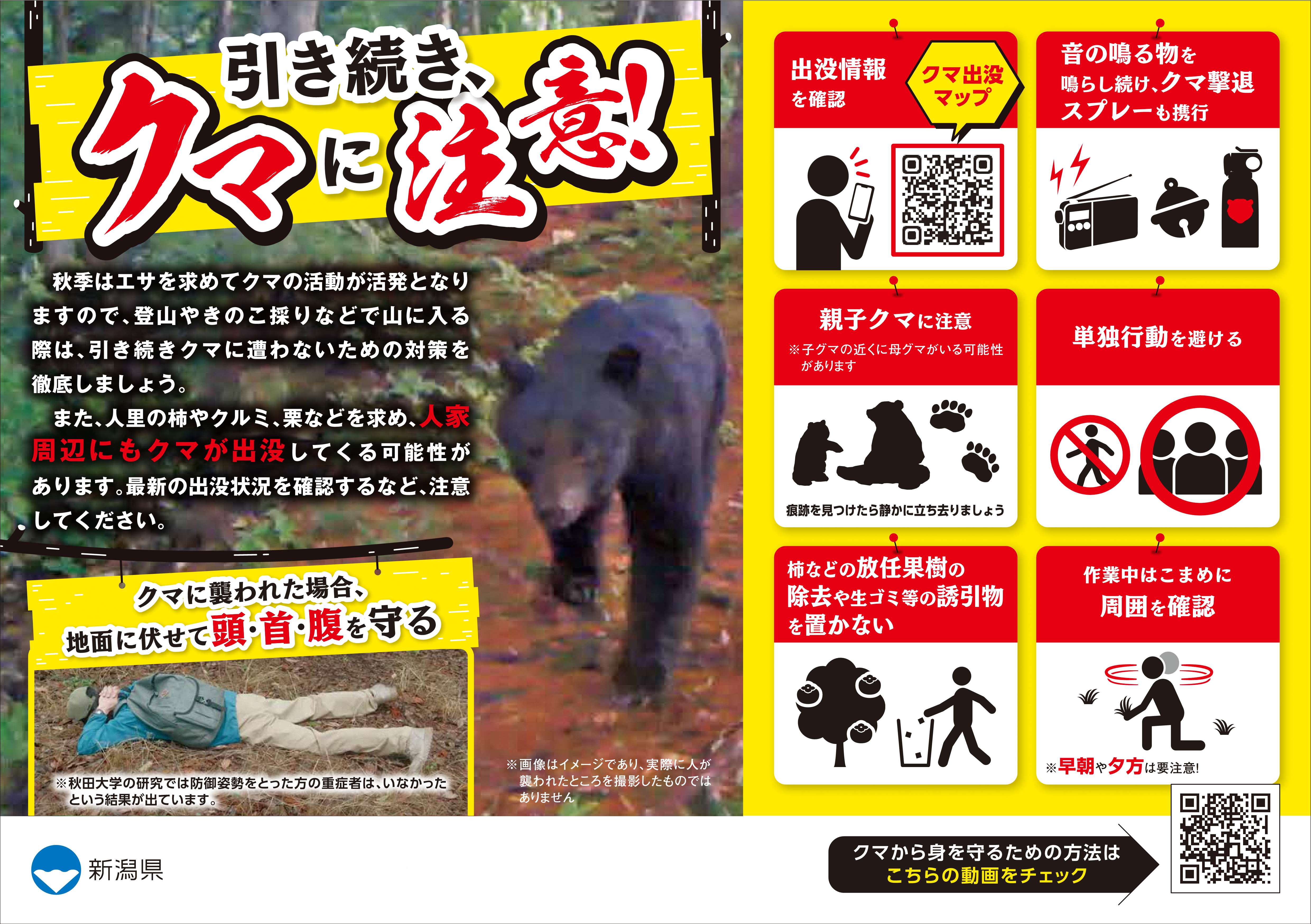 秋季のクマに対する注意喚起チラシ(A5カラー)