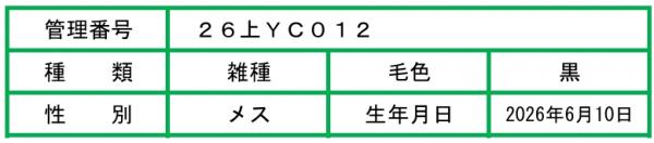ぬまっち