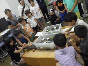 液状化実験の様子