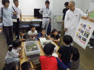 液状化実験の様子2