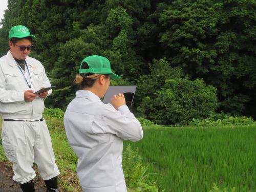 農業委員として農地パトロール