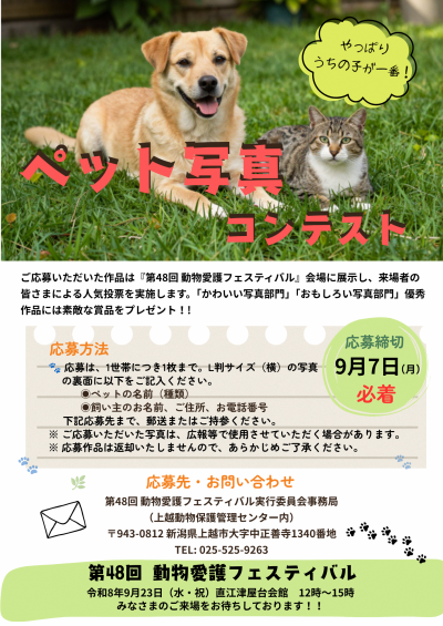 写真コンテストチラシ
