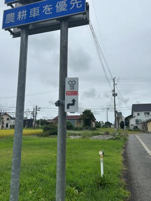 ルートを示す自転車目線の標識