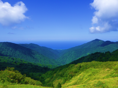 佐渡県有林遠景