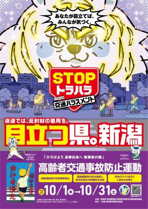 高齢者交通事故防止運動チラシ表