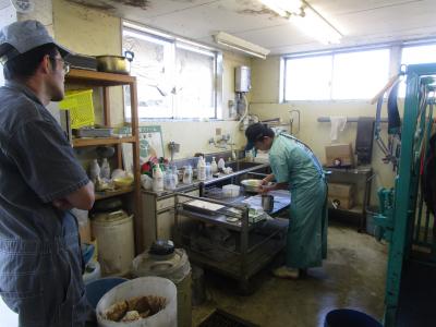 人工授精の準備中です