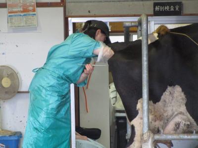繰り返し練習して感覚がつかめてきました