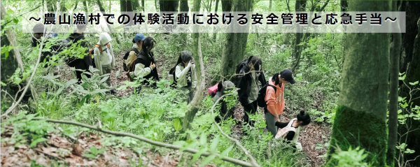 森林散策写真