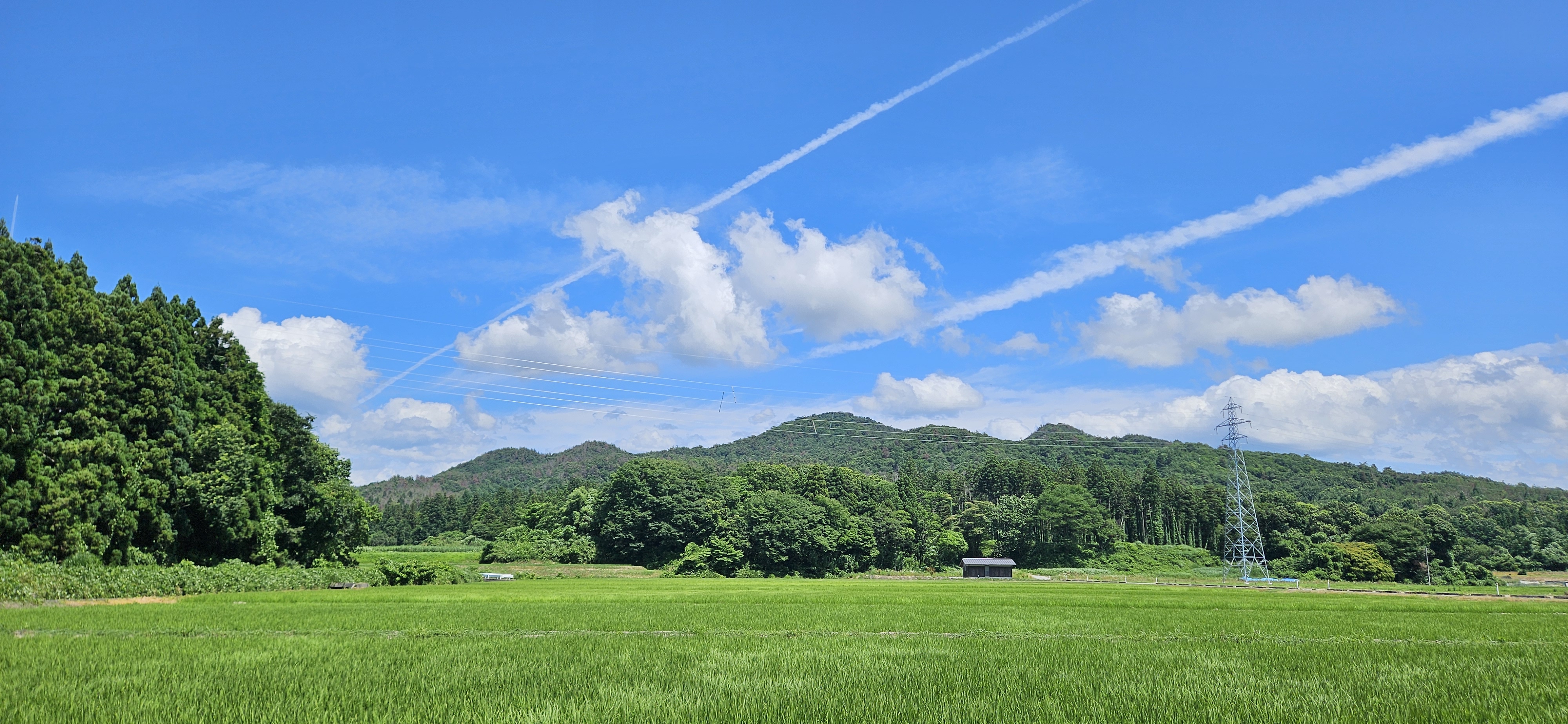 【夏の部】通過作品9