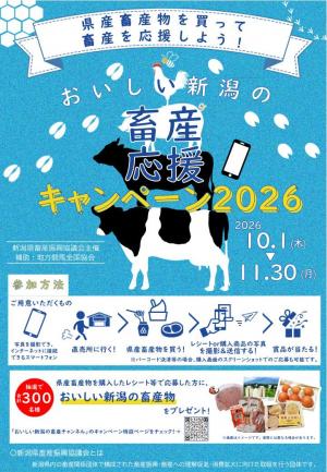 チラシ表面