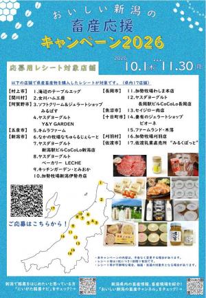 チラシ裏面