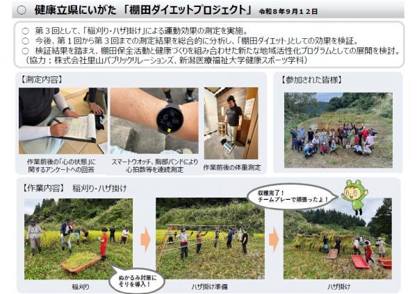速報版