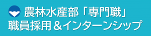 職員採用インターンシップ