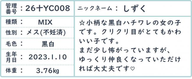 しずく