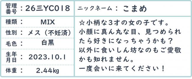 こまめ