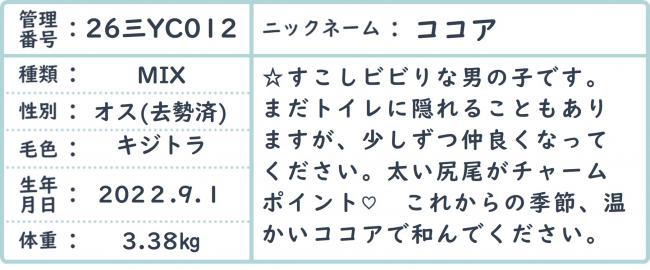 ココア