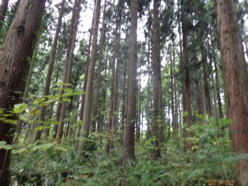 西野団地写真２