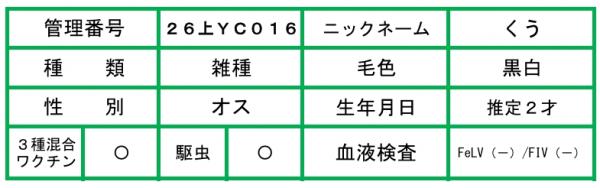 HP用説明文（26上YC016くう）
