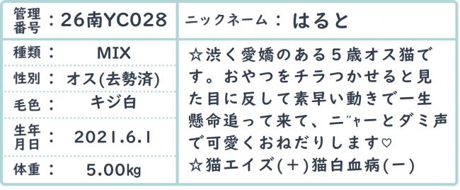 はると