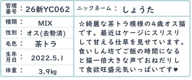 しょうた